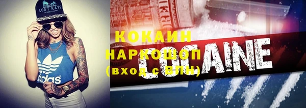 дмт Козловка