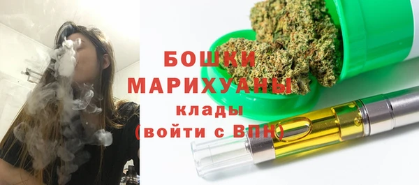 крисы Козельск