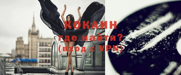 крисы Козельск