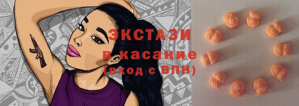 крисы Козельск