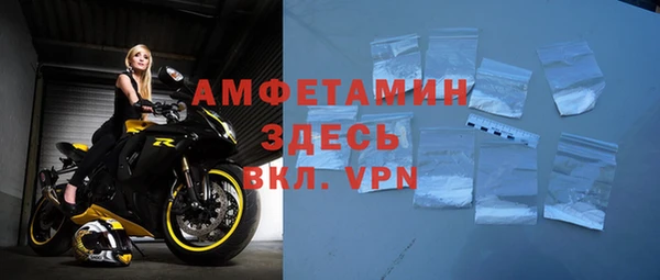 крисы Козельск