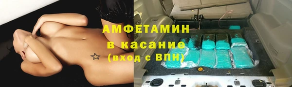 крисы Козельск