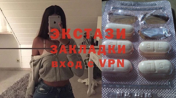крисы Козельск
