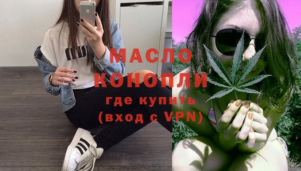 крисы Козельск