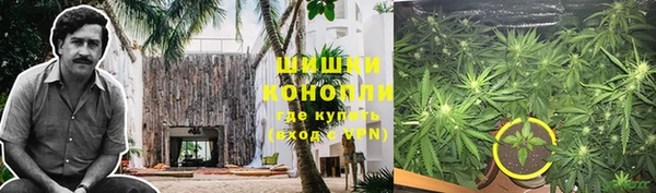 дмт Козловка