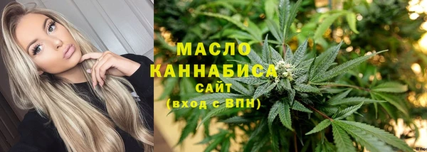 крисы Козельск