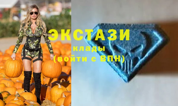 крисы Козельск