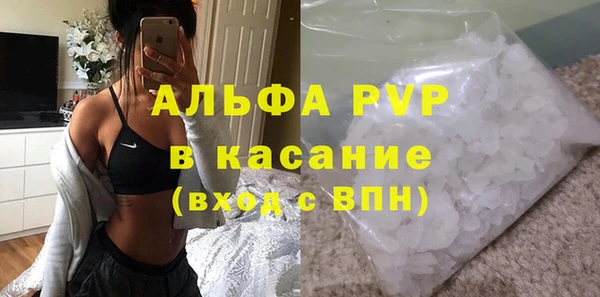 крисы Козельск