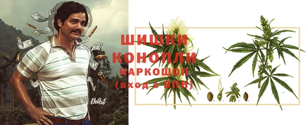 крисы Козельск